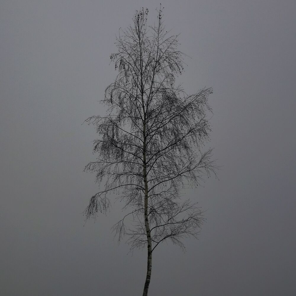 Trip (6)