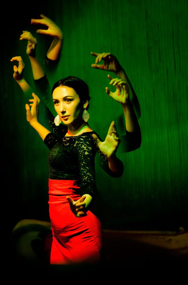 Flamenco Dancer (4)