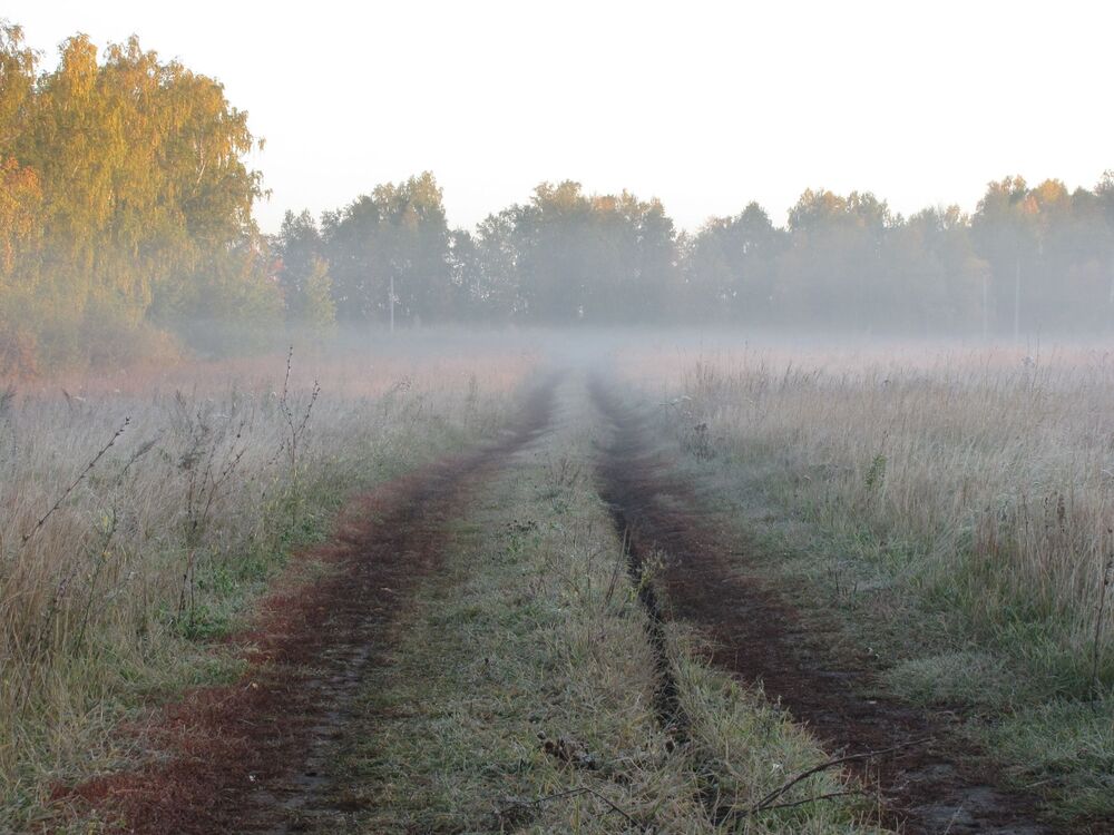 Frosty morning (2)