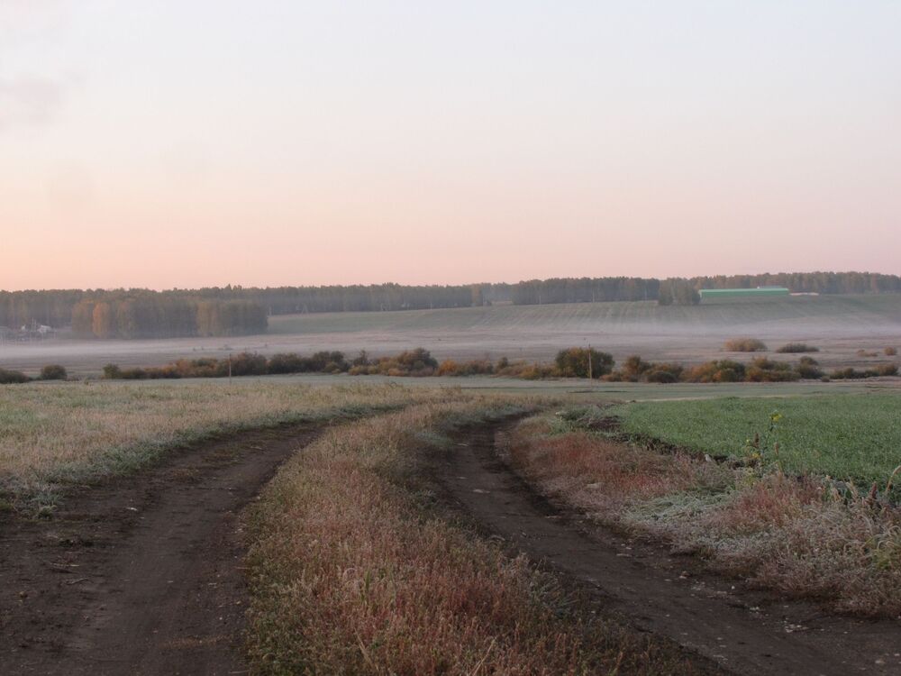 Frosty morning (4)
