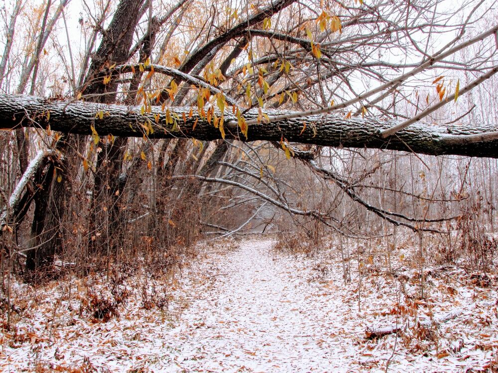 Winter is coming (4)