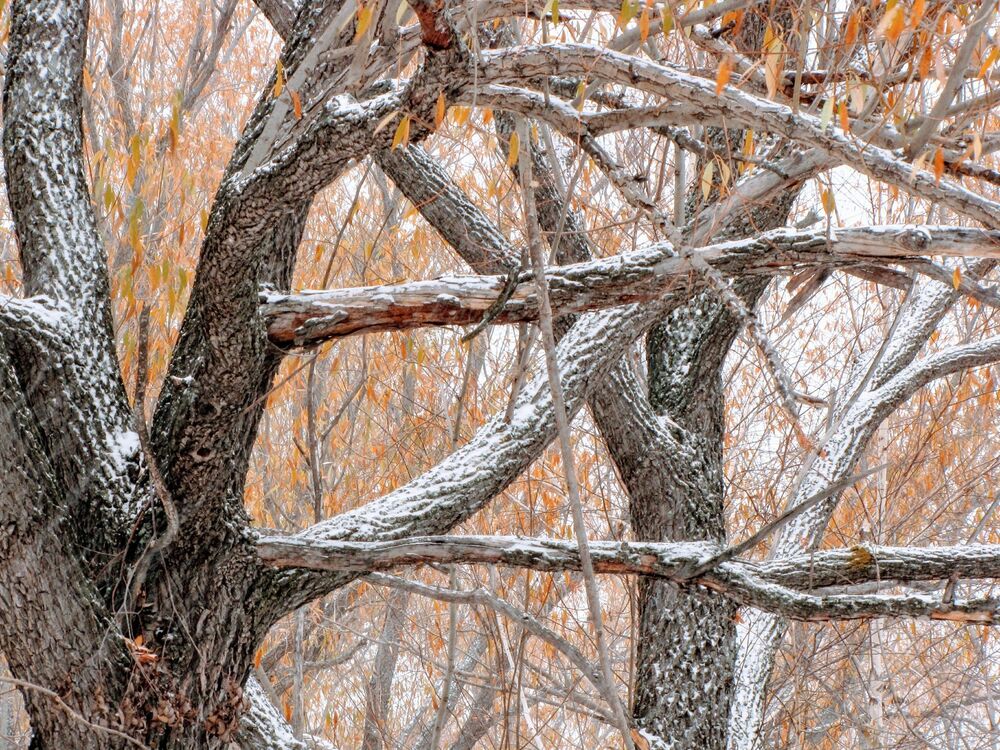 Winter is coming (5)