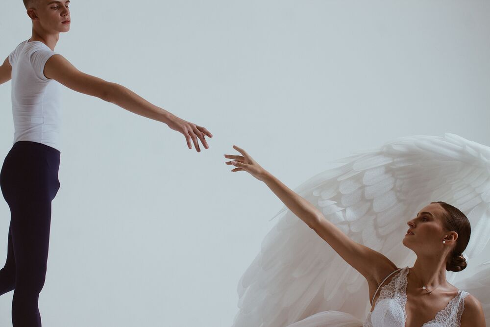 Black Swan (3)