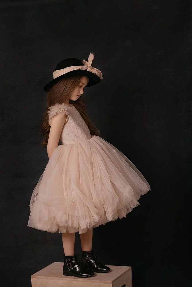Photo #5622986 (6)