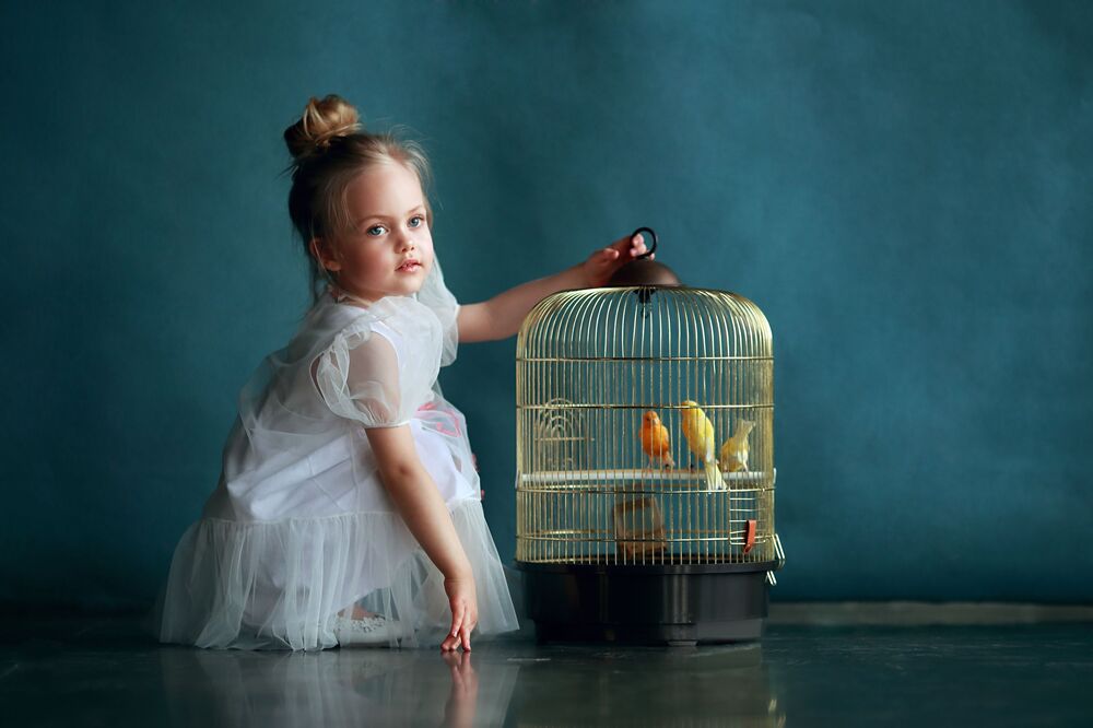 Photo #5623036 (9)
