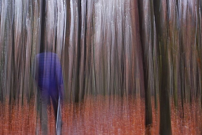 Four Seasons (4)