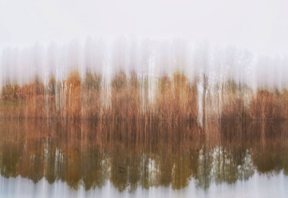 Four Seasons (3)