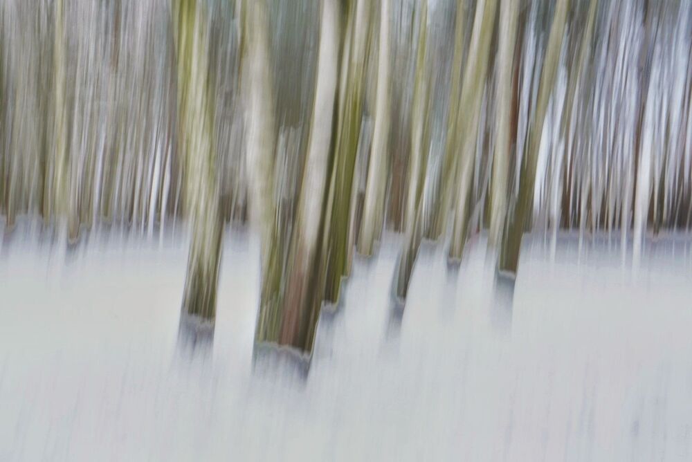 Four Seasons (5)