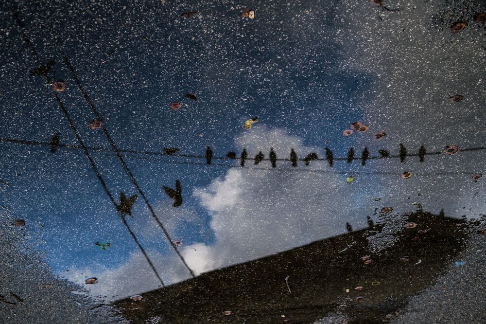 Reflection (4)
