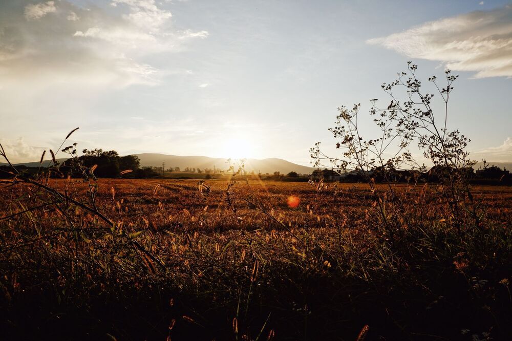 Summer Sunsets (4)