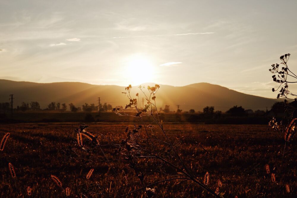 Summer Sunsets (6)