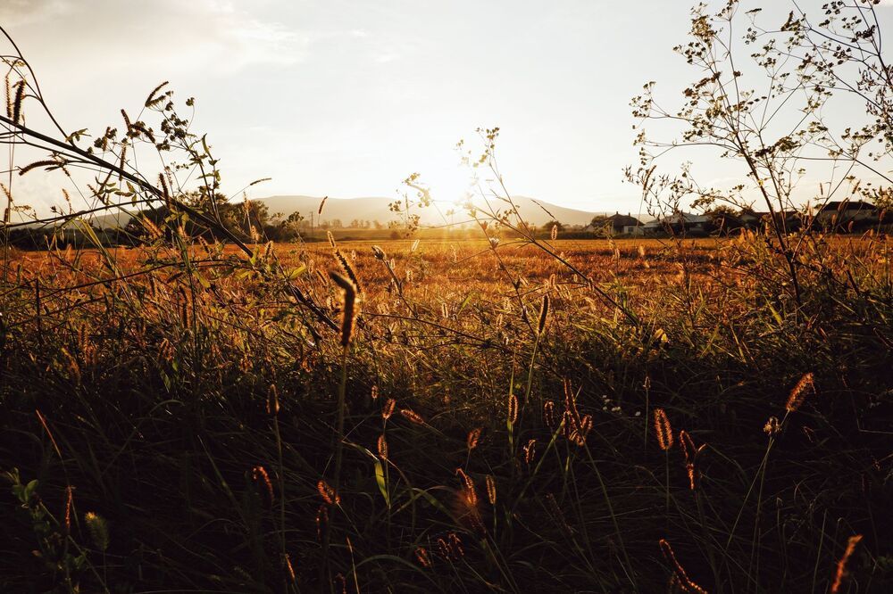 Summer Sunsets (7)