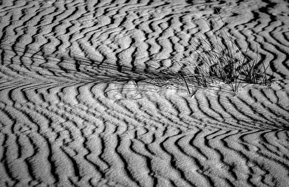 The Signs of the Sand land (6)