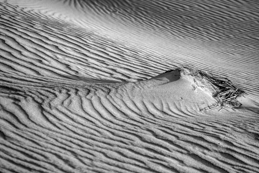 The Signs of the Sand land (3)