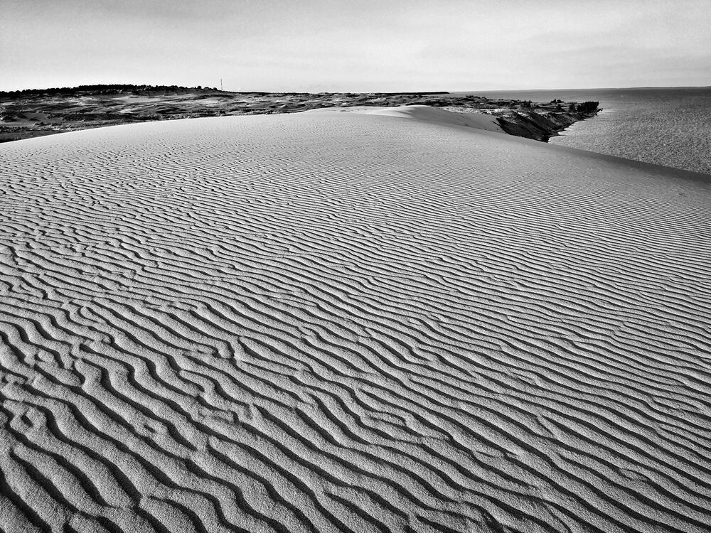 The Signs of the Sand land (2)