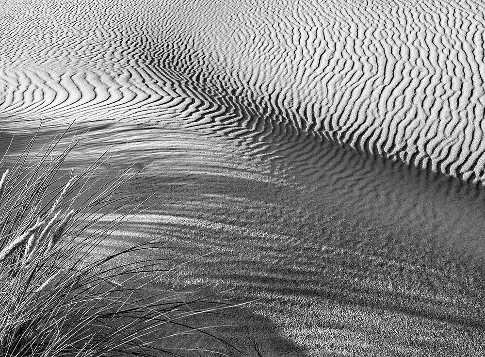 The Signs of the Sand land (4)