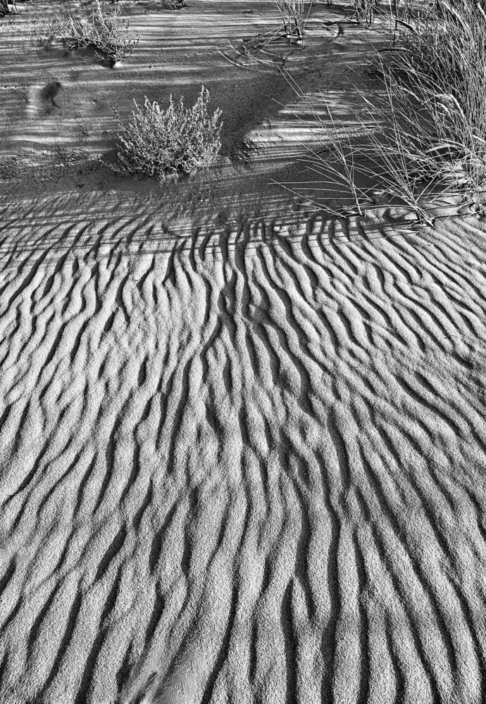The Signs of the Sand land (8)