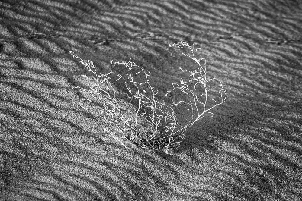 The Signs of the Sand land (7)