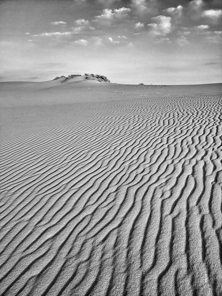 The Signs of the Sand land (5)