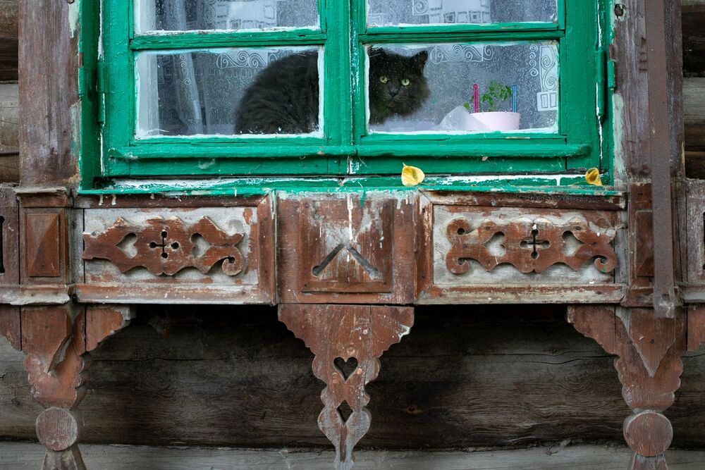 Томские окна (3)