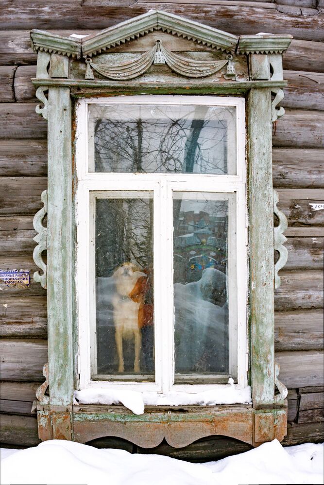 Томские окна (6)