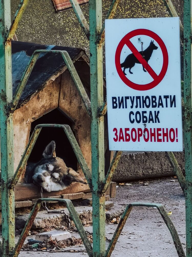 Один день из жизни большого города (8)