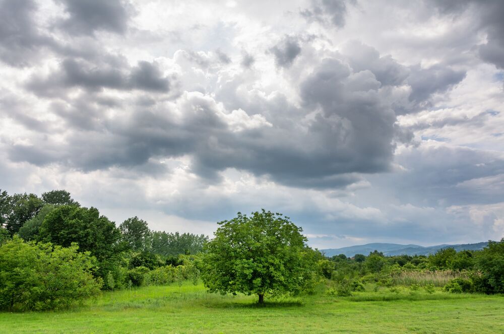 Natural beauties of Serbia (7)