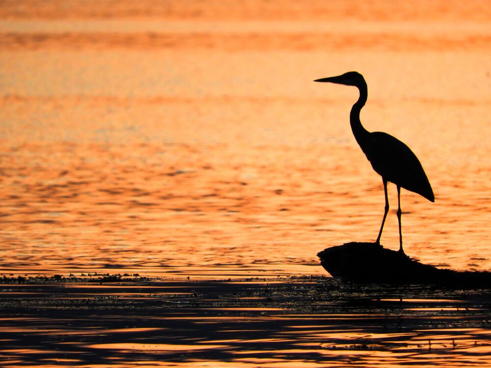 Natural beauties of Serbia (5)