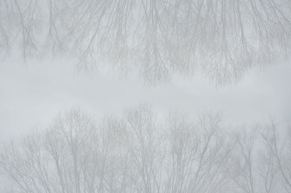 Calm (3)