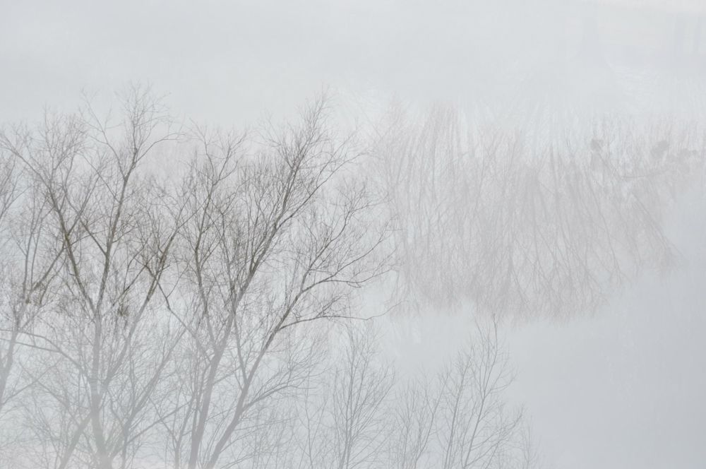 Calm (2)