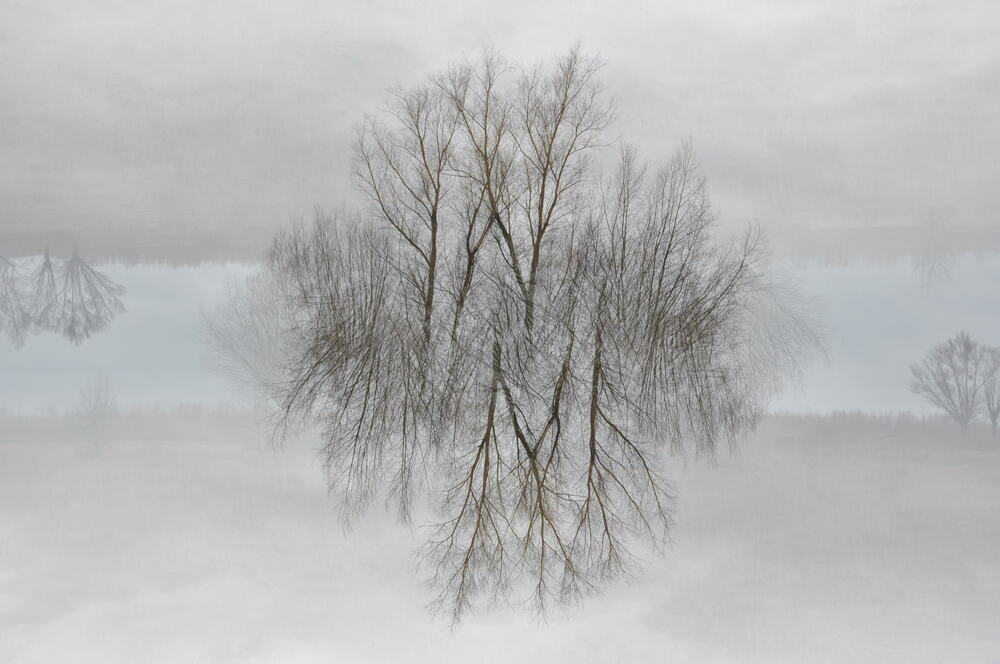 Calm (4)