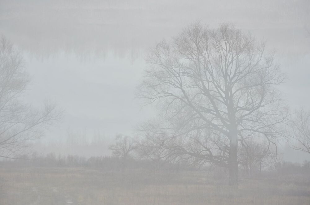 Calm (5)