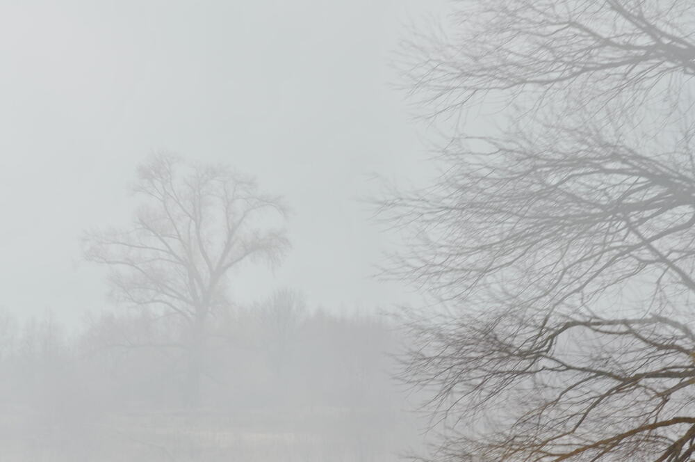 Calm (6)
