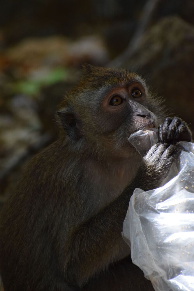 Human Intervention (5)