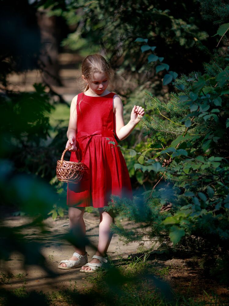Photo #5768635 (2)