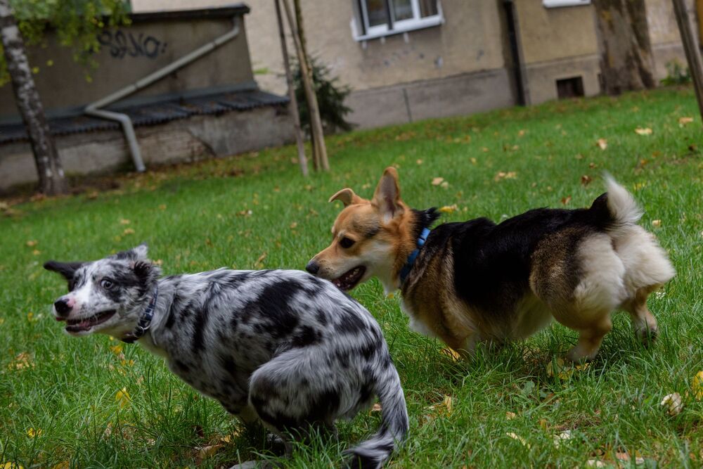 Photo #5770780 (3)