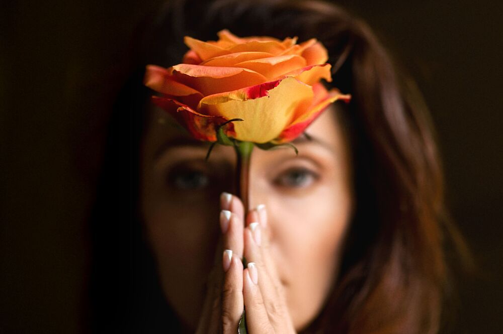 Rose (4)