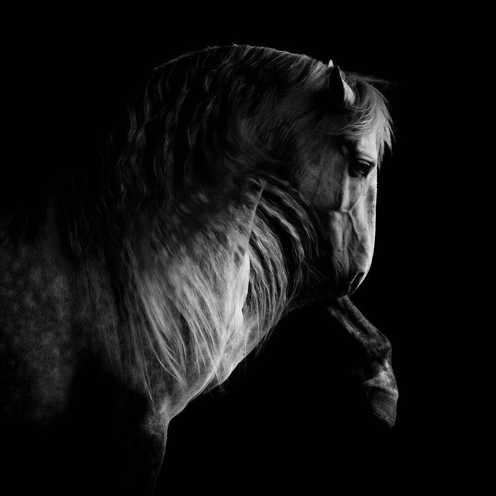 From the shadows (3)