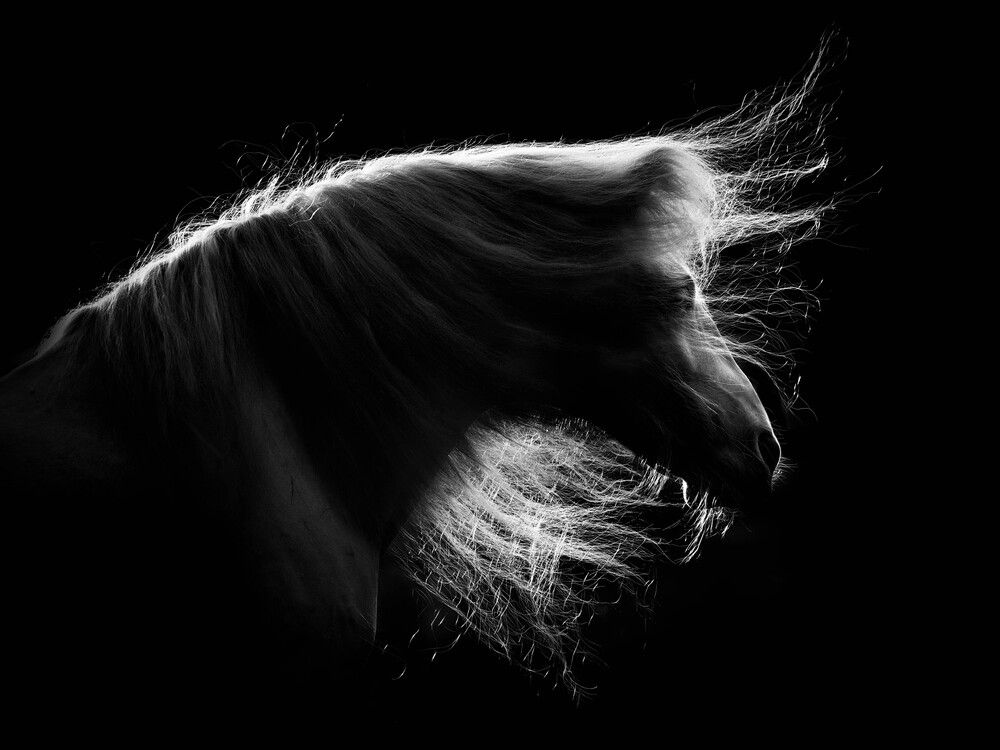 From the shadows (4)