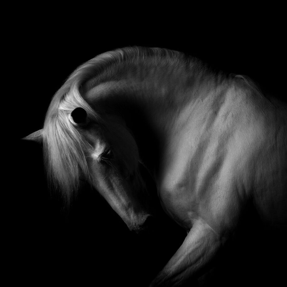 From the shadows (7)