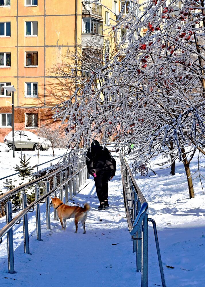 В обледеневшей городе . (9)
