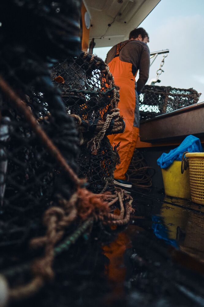 Fishing for positives in Covid (10)