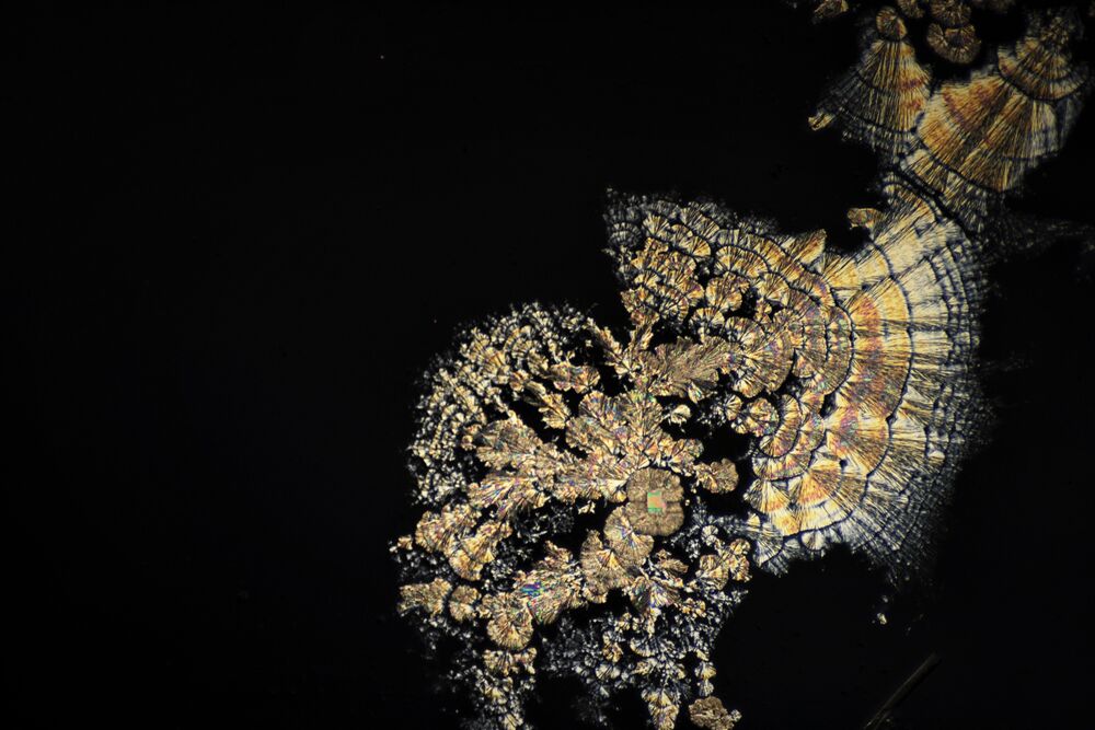 crystallization under microscope . (2)