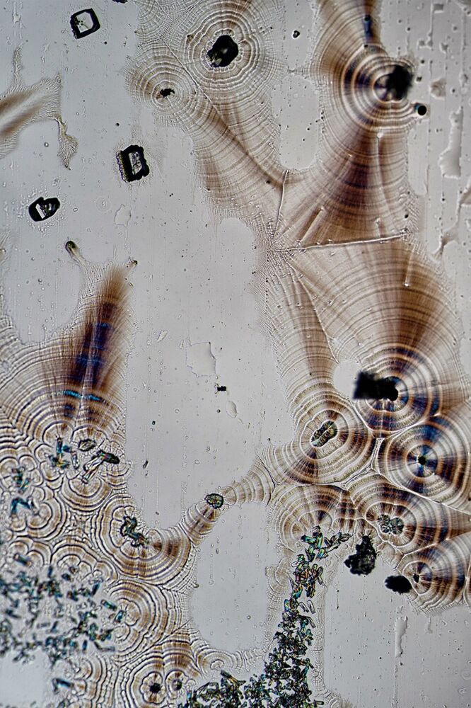 crystallization under microscope . (4)
