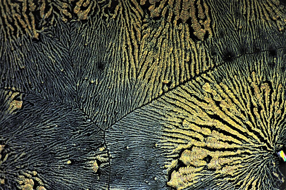 crystallization under microscope . (7)