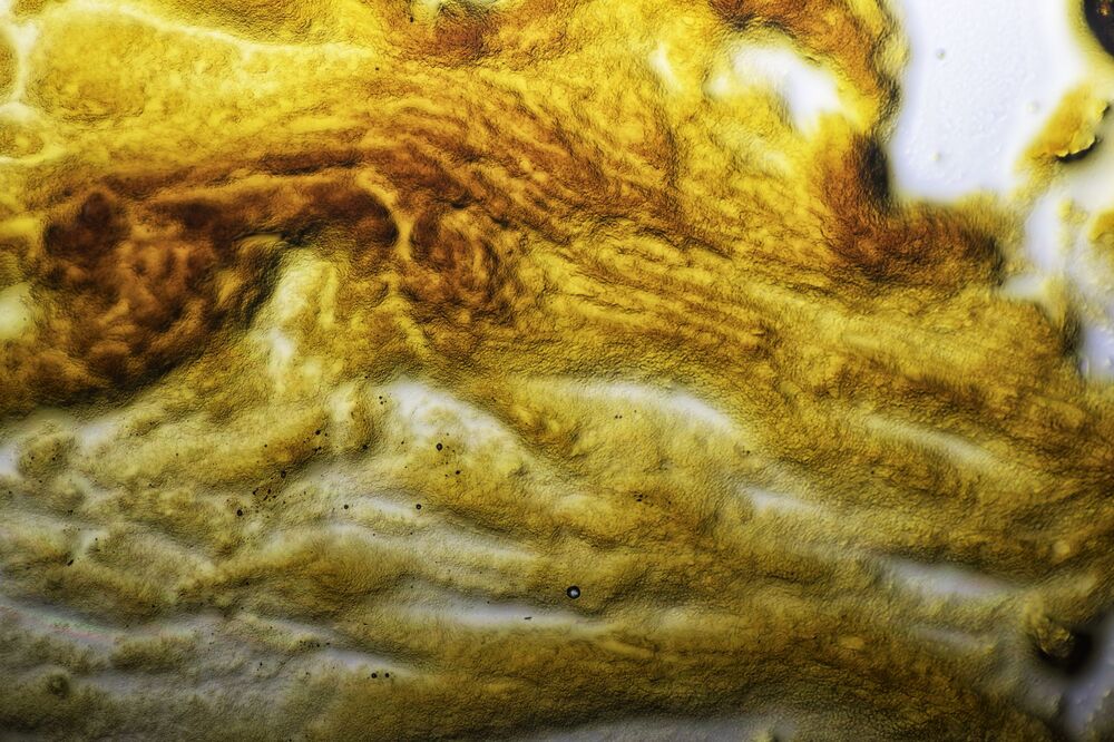 Tar of cigarettes and caffeine of tea (4)
