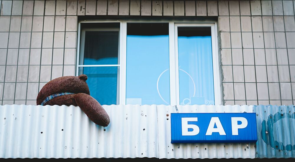 Street animals (2)