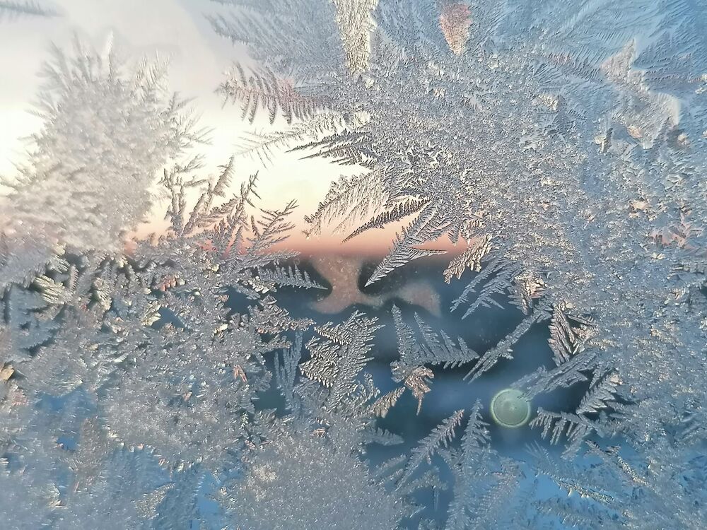 Кружева природы (2)