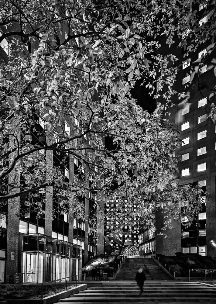 La Defense at night (2)