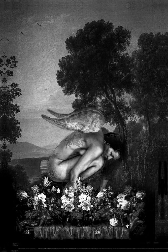 Venus and life (11)